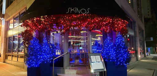 Skinos banner